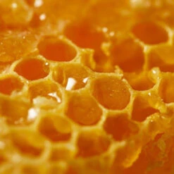 NUXE Rêve De Miel Intensiv Beruhigender Gesichtsbalsam 50 Ml -Aveda Kosmetik Geschaft 1379984 NUXE Reve de Miel Intensiv beruhigender Gesichtsbalsam 50 ml.241a36b4