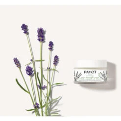 Payot Herbier Crème Universelle Visage à L'huile Essentielle De Lavande 50 Ml -Aveda Kosmetik Geschaft 1402986 Payot Herbier Creme Universelle visage a l huile essentielle de lavande 50 ml.6222cecf